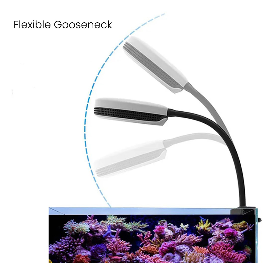 Spectra SP20 20W Aquarium LED  - Marine Coral recension och pris