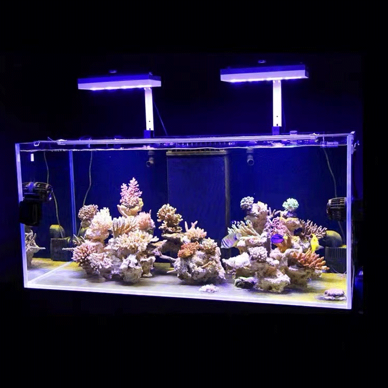 Aqua Illumination AI Hydra 32H - Marine Coral recension och pris