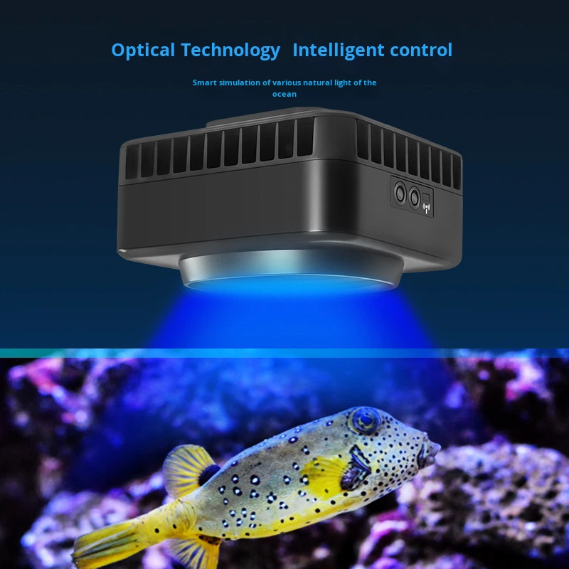 Jebao GSQ Smart Marine Coral L - Marine Coral recension och pris